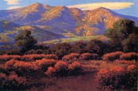Pink Buckeyes and Santa Barbara Mountains