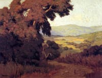 Valley Afternoon
