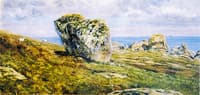 Rock Study on St. Agnes, Scilly Isles