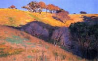 Head of Amarillo Canyon