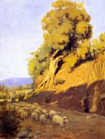 Shepherd and Flock