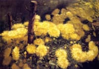 Chrysanthemums
