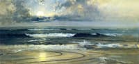 Moonlight Reflections