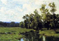 A Lush Spring