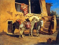 New Mexico