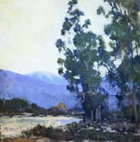 Trees before the Arrayo