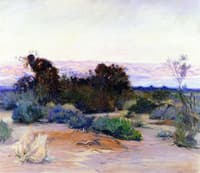 Mojave Desert