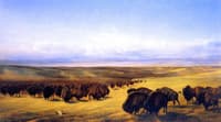 The Gathering of the Herds