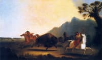 The Buffalo Hunt