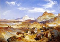 Petrified Forest
