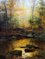 Woodland Brook