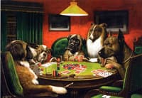 A Bold Bluff