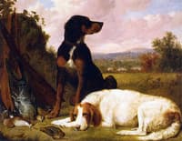 The Day's Bag: Guns Dogs and Game