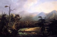 Footbridge in the Wilderness
