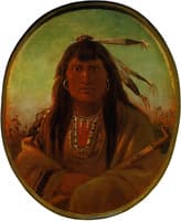 Portrait of Bear Rib