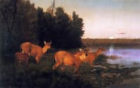 Deer at Dawn