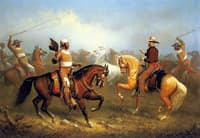 Roping Wild Horses