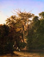 The Old Pinta Crossing on the Guadalupe