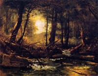 Woodland Glade