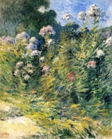 The Flower Garden