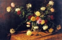 Chrysanthemums