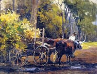 Ox Cart
