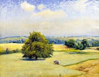 Harvest Fields