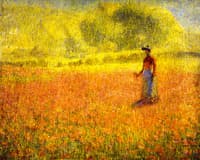 Poppies