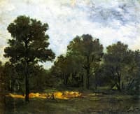 Clearing II