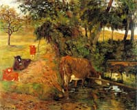 Cows near Dieppe