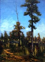 Untitled Landscape
