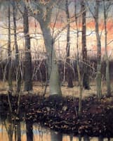 In the Woods
