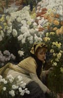 Chrysanthemums