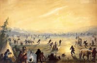 Attrapez des Chevaux