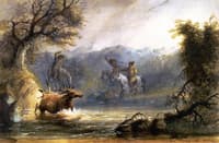 Elk Taking the Water