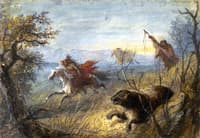 Grizzly Bear Hunt