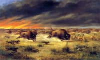 Herd of Buffalo Fleeing from a Prairie Fire