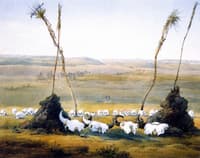 Mandan Shrine