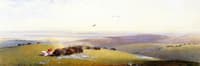 Buffalo Hunt on the Prairies