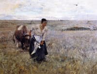 The Homesteader's Wife