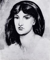 Sibylla Palmifera - study