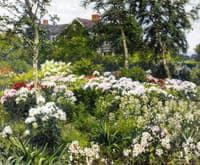 A Garden