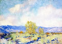 Desert Landscape