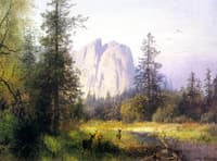 Yosemite Valley - A Family of Deer
