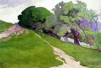 Monterey Landscape