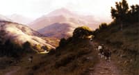Cattle in the Marin Hills