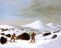 Buffalo Hunt in Winter