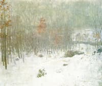 Woods in Snow