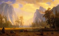 Looking up the Yosemite Valley