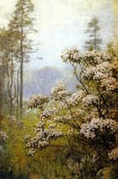 Landscape with Pink Mountain Laurel